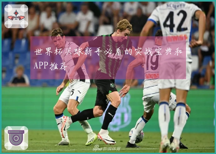 世界杯买球新手必看的实战宝典和APP推荐
