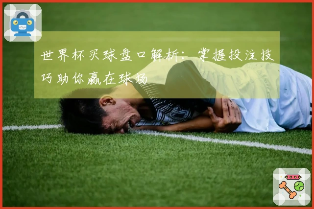 世界杯买球盘口解析：掌握投注技巧助你赢在球场