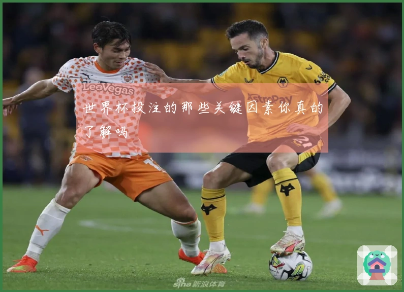 世界杯投注的那些关键因素你真的了解吗