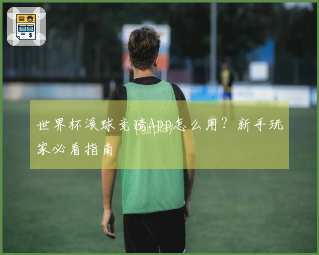 世界杯滚球竞猜App怎么用？新手玩家必看指南