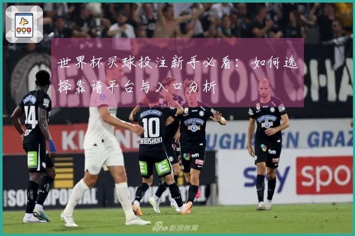 世界杯买球投注新手必看：如何选择靠谱平台与入口分析
