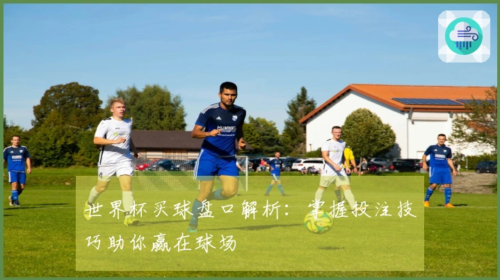 世界杯买球盘口解析：掌握投注技巧助你赢在球场